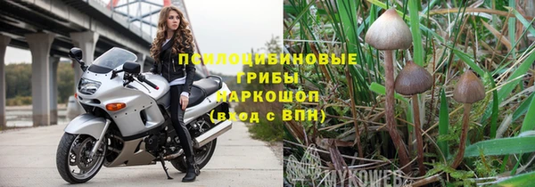 дмт Алексин
