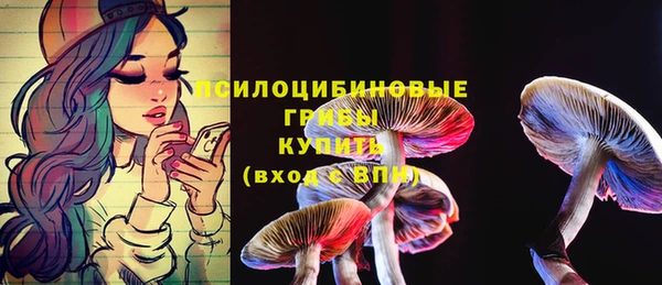 дмт Алексин