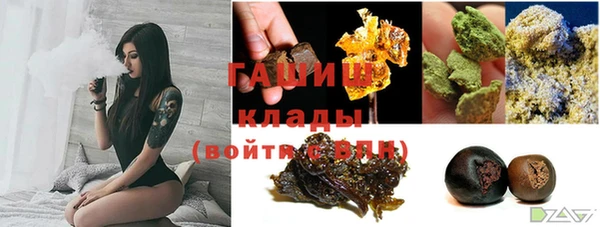 дмт Алексин