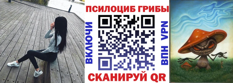 Псилоцибиновые грибы прущие грибы  Новоузенск 